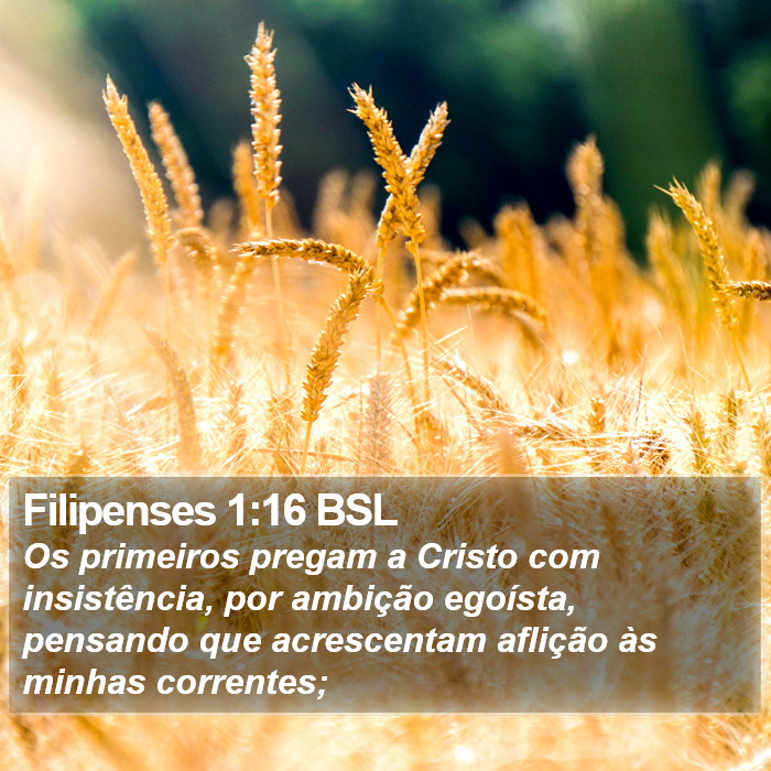 Filipenses 1:16 BSL Bible Study