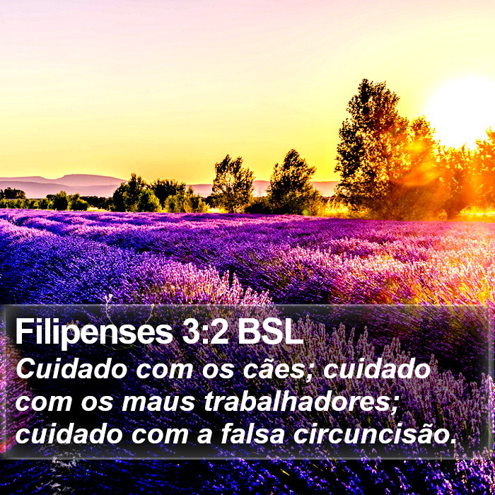 Filipenses 3:2 BSL Bible Study