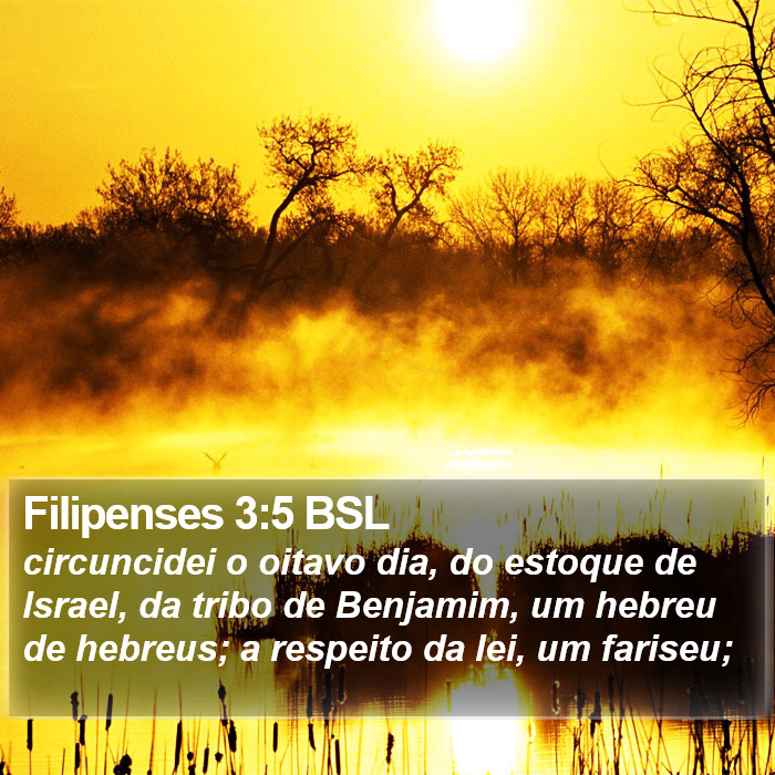 Filipenses 3:5 BSL Bible Study