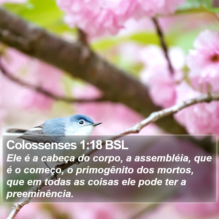 Colossenses 1:18 BSL Bible Study