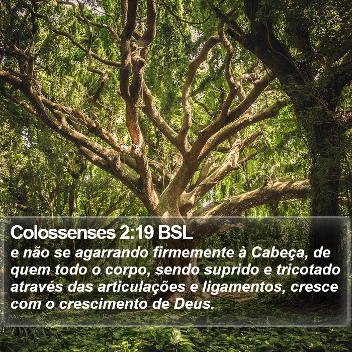 Colossenses 2:19 BSL Bible Study