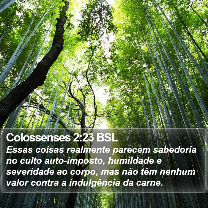 Colossenses 2:23 BSL Bible Study