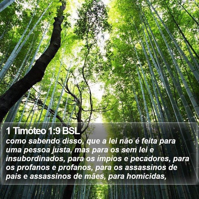 1 Timóteo 1:9 BSL Bible Study