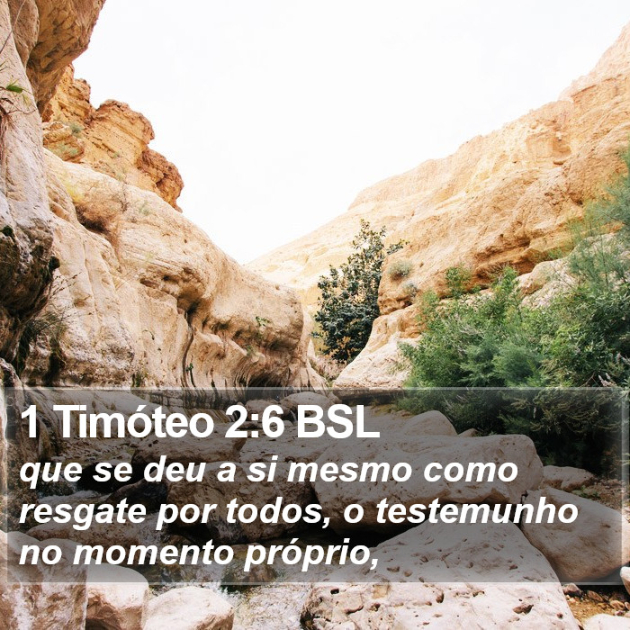 1 Timóteo 2:6 BSL Bible Study