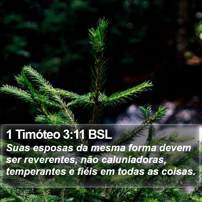 1 Timóteo 3:11 BSL Bible Study