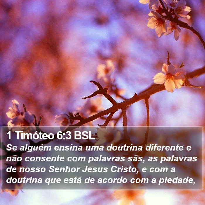 1 Timóteo 6:3 BSL Bible Study