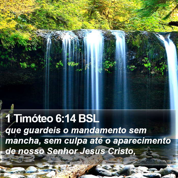 1 Timóteo 6:14 BSL Bible Study