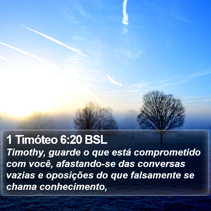1 Timóteo 6:20 BSL Bible Study