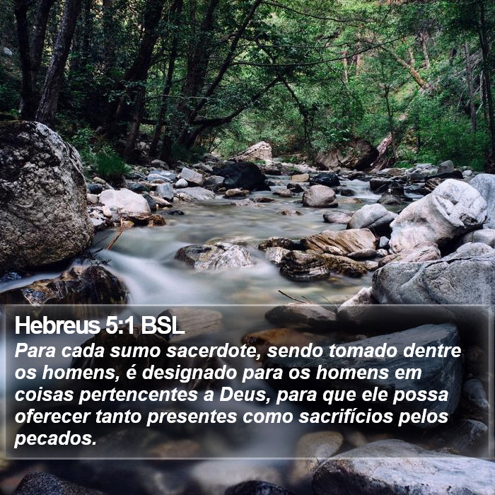 Hebreus 5:1 BSL Bible Study