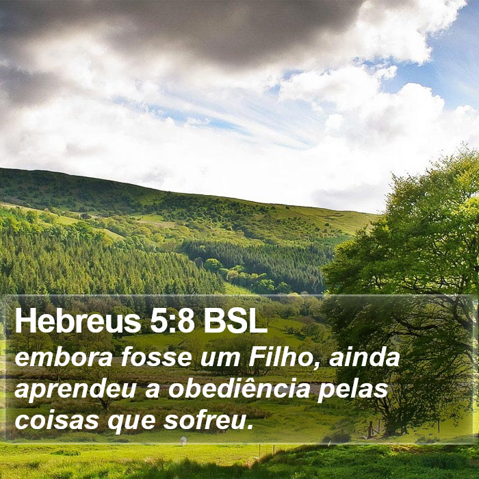 Hebreus 5:8 BSL Bible Study