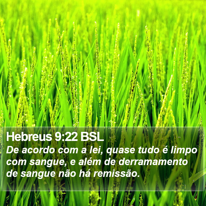 Hebreus 9:22 BSL Bible Study