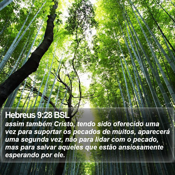 Hebreus 9:28 BSL Bible Study