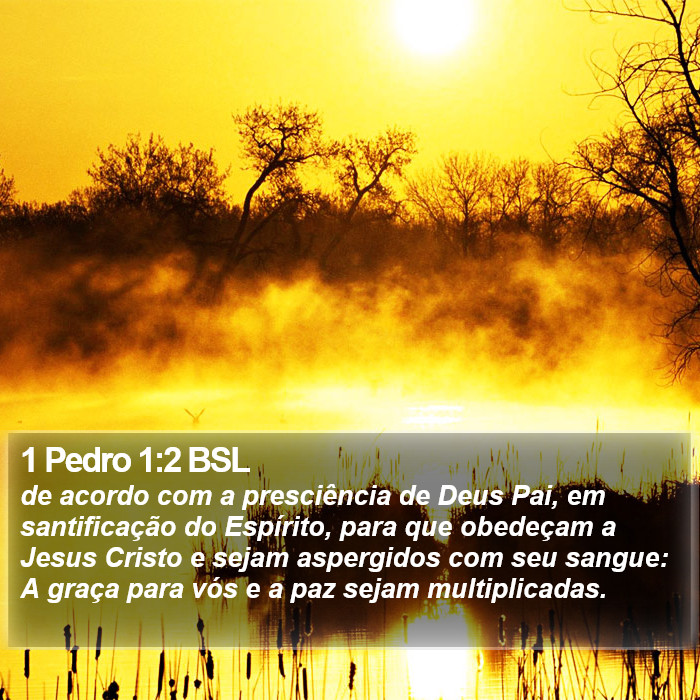 1 Pedro 1:2 BSL Bible Study