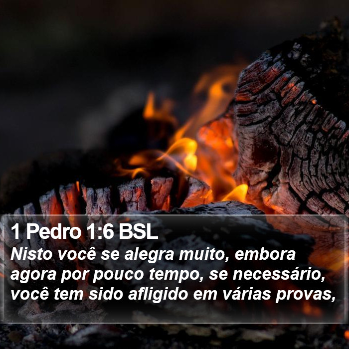 1 Pedro 1:6 BSL Bible Study