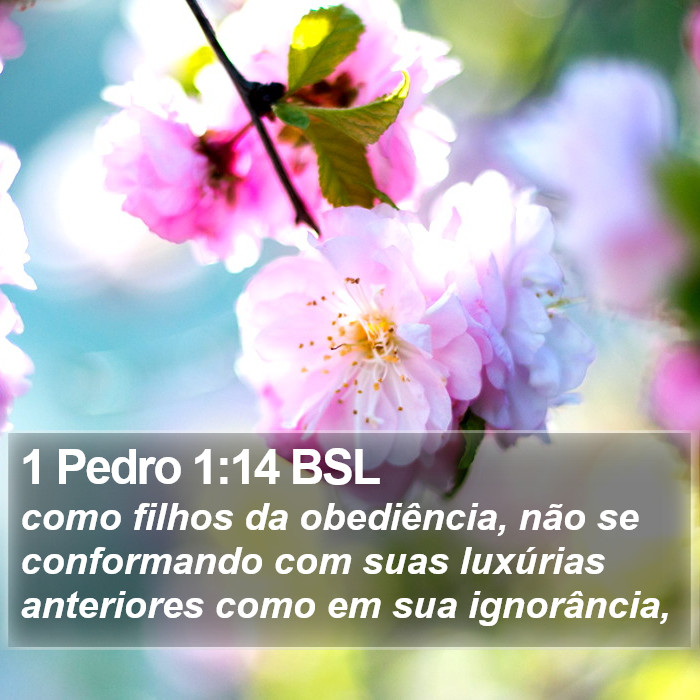 1 Pedro 1:14 BSL Bible Study