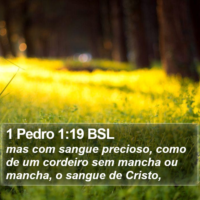 1 Pedro 1:19 BSL Bible Study