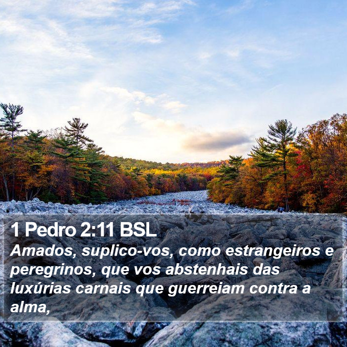 1 Pedro 2:11 BSL Bible Study