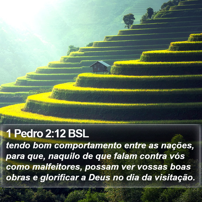 1 Pedro 2:12 BSL Bible Study