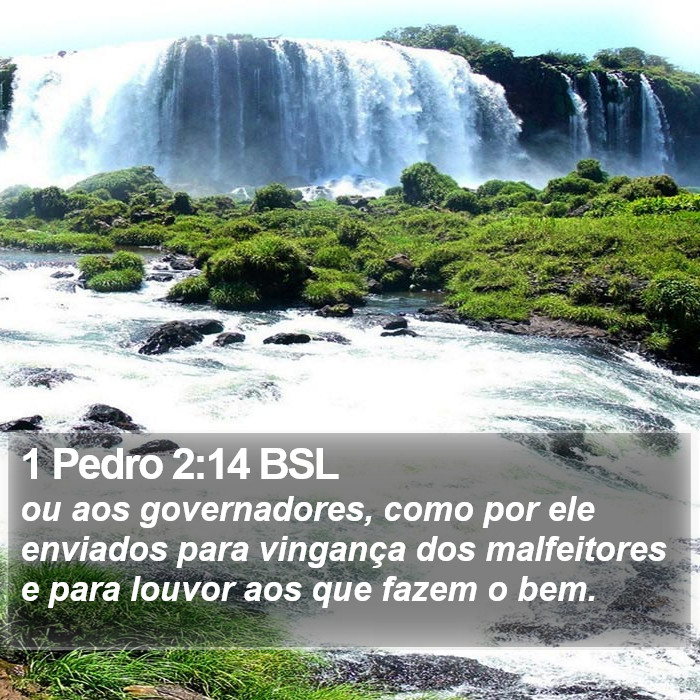 1 Pedro 2:14 BSL Bible Study