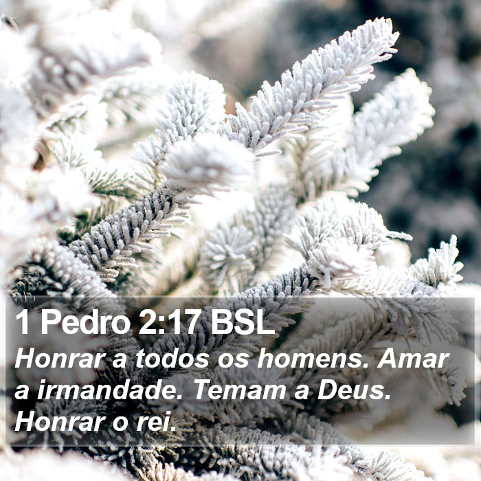 1 Pedro 2:17 BSL Bible Study