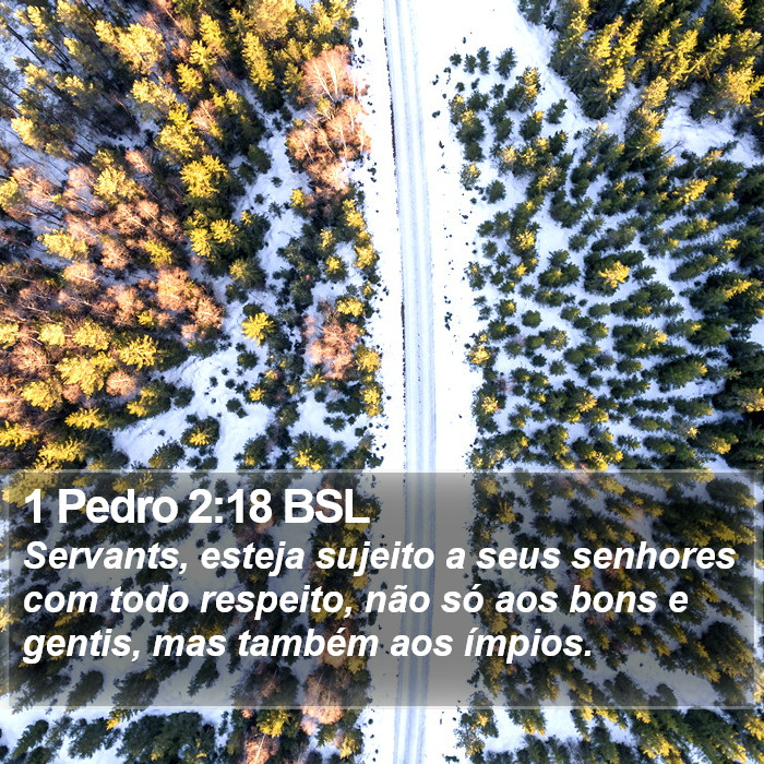1 Pedro 2:18 BSL Bible Study