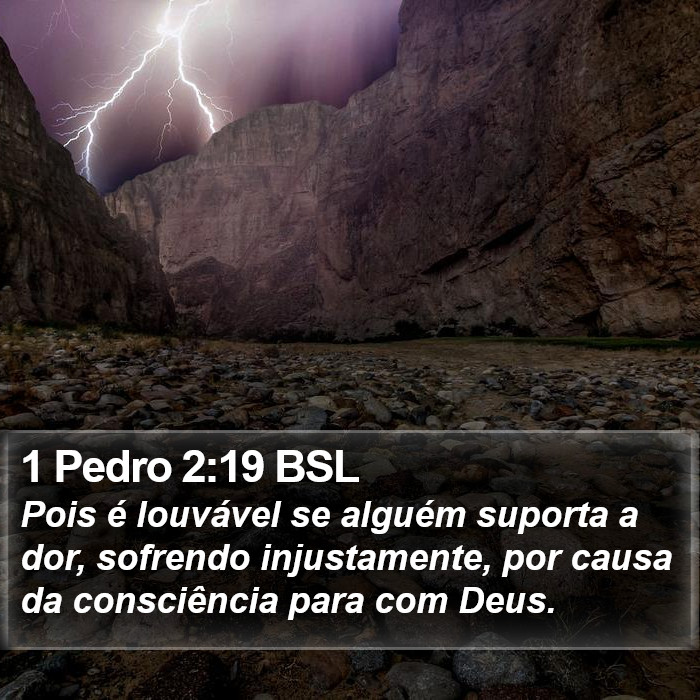 1 Pedro 2:19 BSL Bible Study