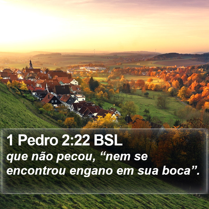1 Pedro 2:22 BSL Bible Study