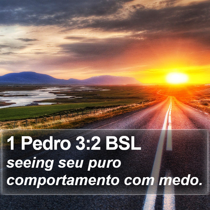 1 Pedro 3:2 BSL Bible Study