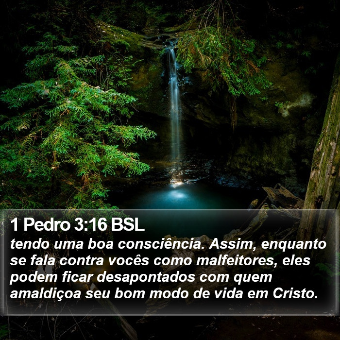 1 Pedro 3:16 BSL Bible Study