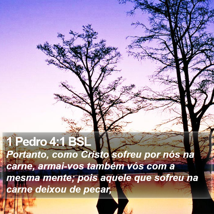 1 Pedro 4:1 BSL Bible Study