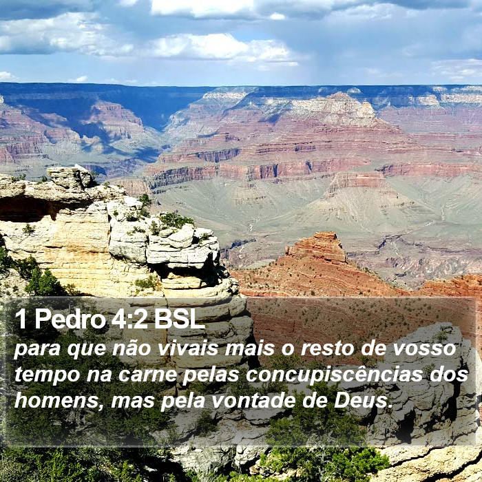 1 Pedro 4:2 BSL Bible Study
