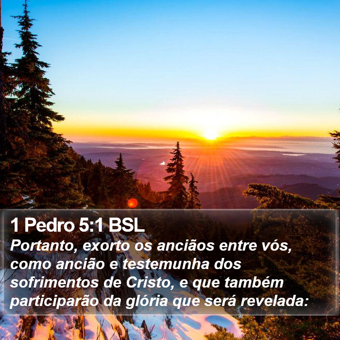 1 Pedro 5:1 BSL Bible Study