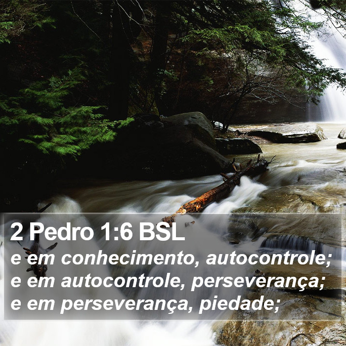 2 Pedro 1:6 BSL Bible Study