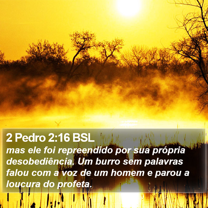 2 Pedro 2:16 BSL Bible Study