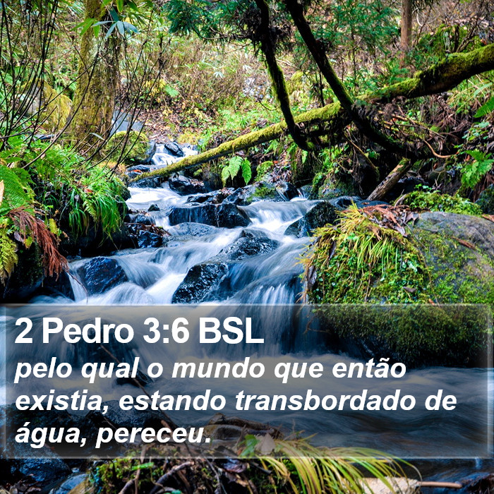 2 Pedro 3:6 BSL Bible Study