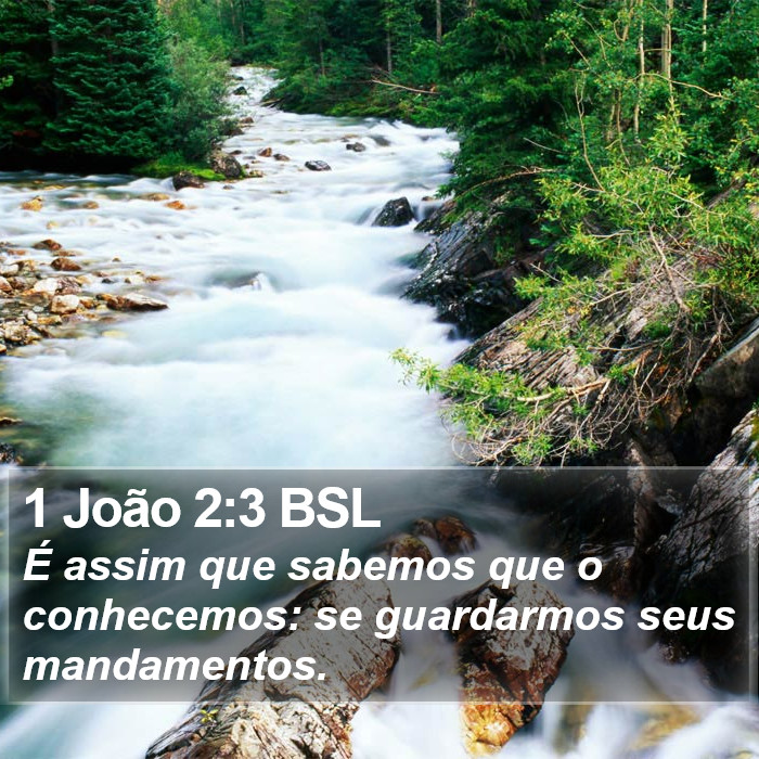1 João 2:3 BSL Bible Study