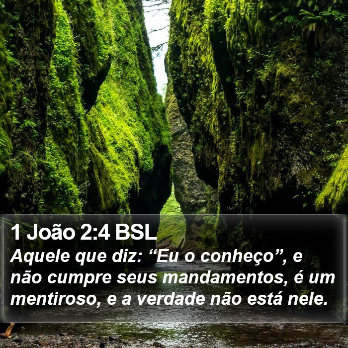 1 João 2:4 BSL Bible Study