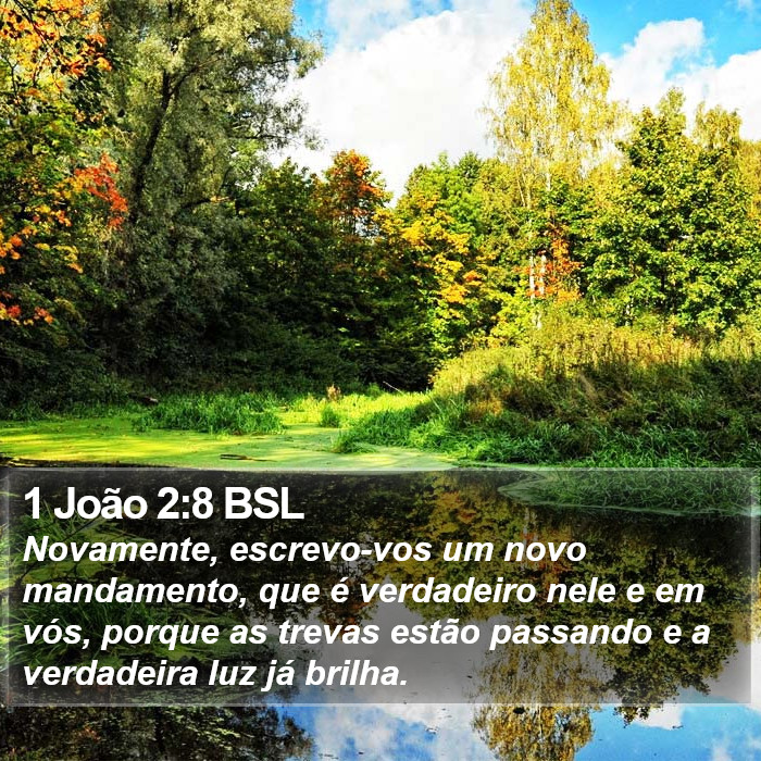 1 João 2:8 BSL Bible Study