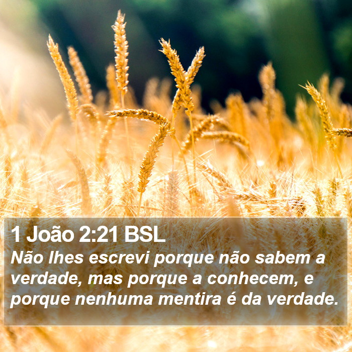 1 João 2:21 BSL Bible Study