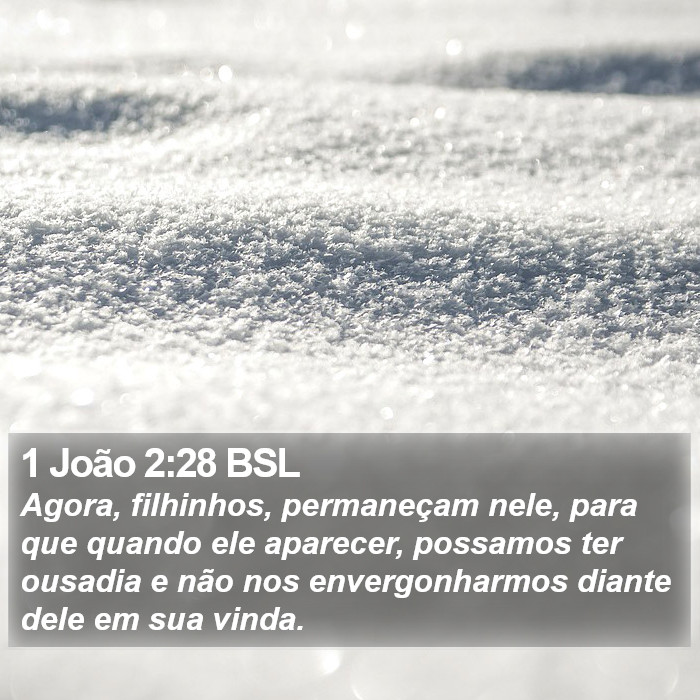 1 João 2:28 BSL Bible Study