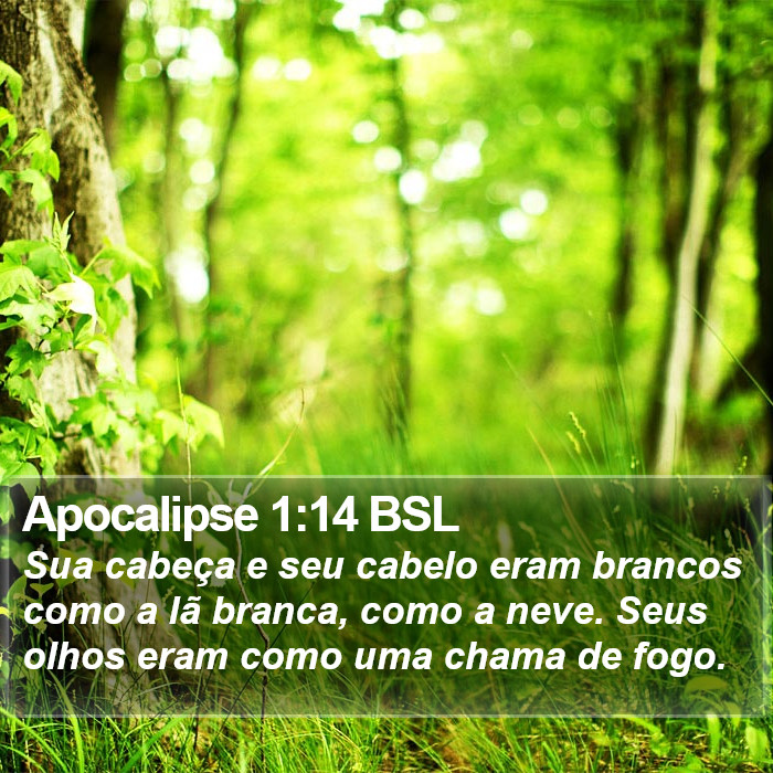 Apocalipse 1:14 BSL Bible Study