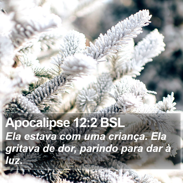 Apocalipse 12:2 BSL Bible Study