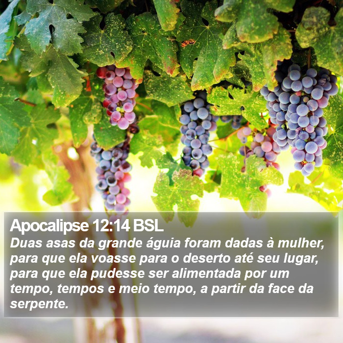 Apocalipse 12:14 BSL Bible Study